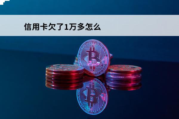 信用卡欠了1万多怎么
