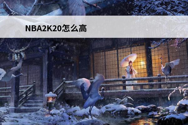 NBA2K20怎么高