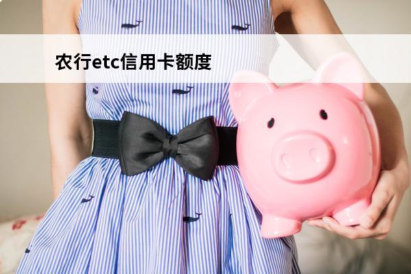 农行etc信用卡额度