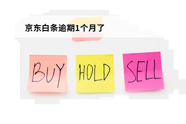 京东白条逾期1个月了