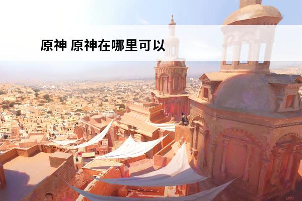 原神 原神在哪里可以