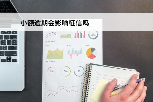 小额逾期会影响征信吗