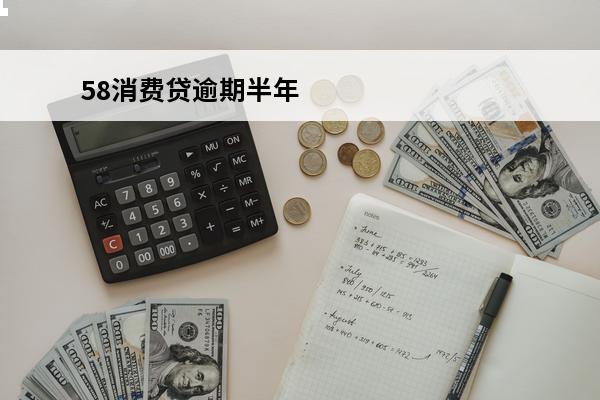 58消费贷逾期半年
