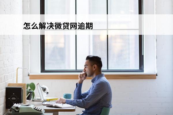 怎么解决微贷网逾期
