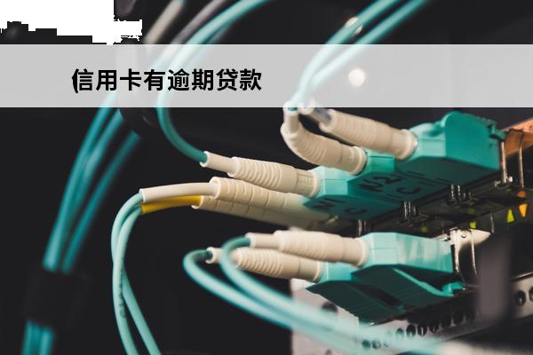 信用卡有逾期贷款
(