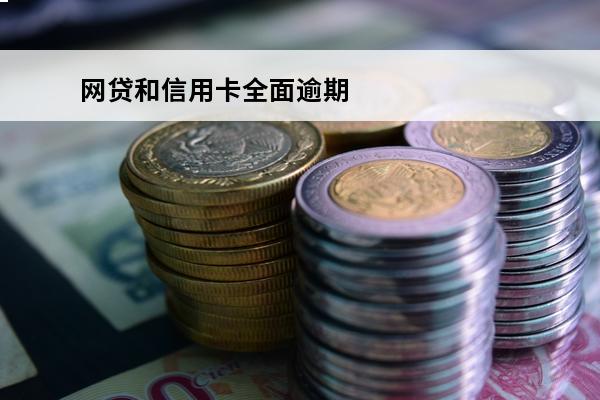 网贷和信用卡全面逾期