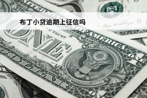 布丁小贷逾期上征信吗