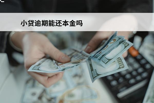 小贷逾期能还本金吗

