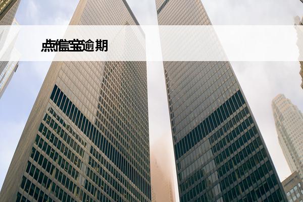 点信宝逾期
 点信宝