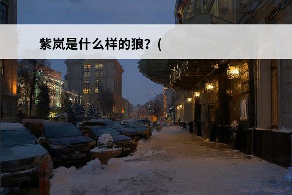 紫岚是什么样的狼？(紫岚是什么品种的狼)