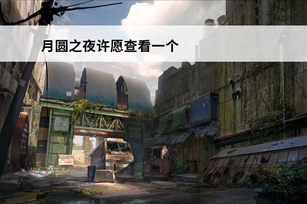 月圆之夜许愿查看一个