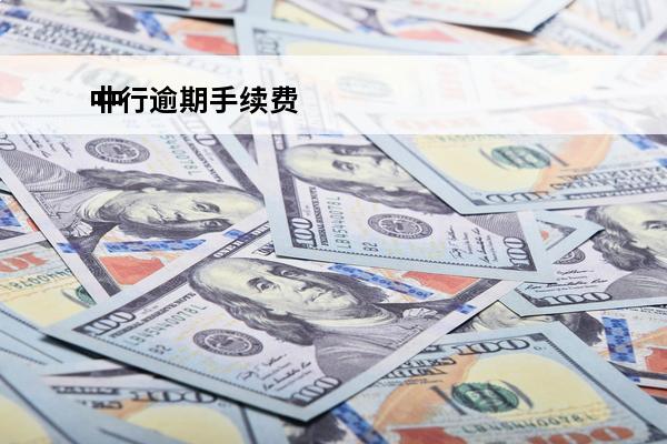 中行逾期手续费
 中