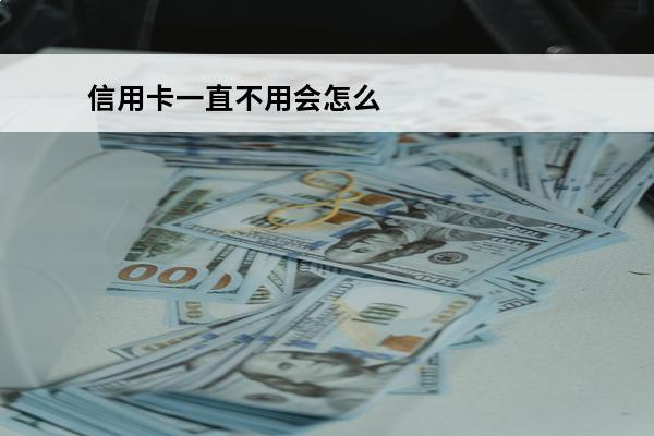 信用卡一直不用会怎么