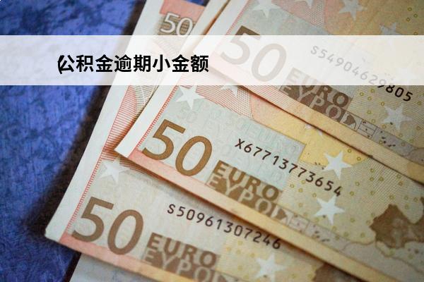 公积金逾期小金额
(