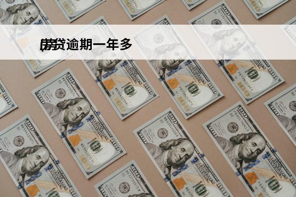 房贷逾期一年多
(房