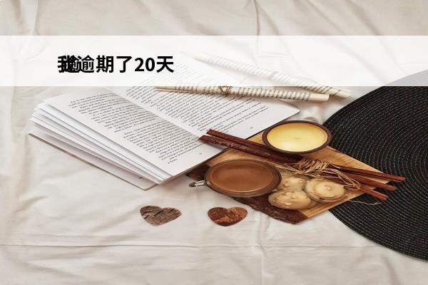 我逾期了20天
 逾