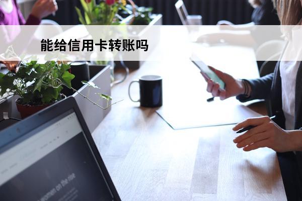 能给信用卡转账吗
 
