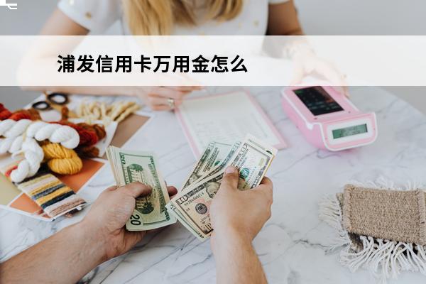 浦发信用卡万用金怎么用
(浦发万用金怎么使用?)