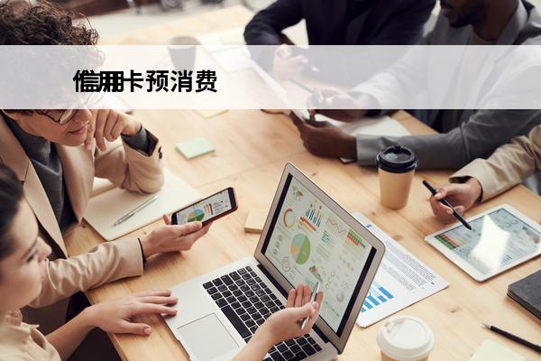 信用卡预消费
 信用
