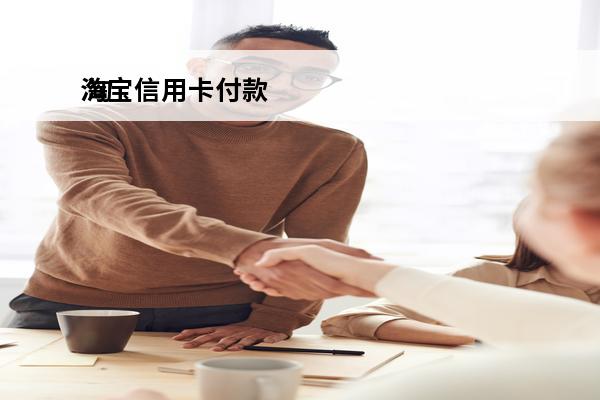 淘宝信用卡付款
 淘