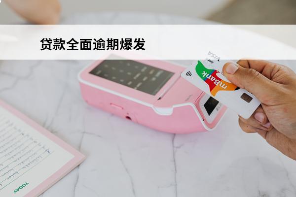 贷款全面逾期爆发
 