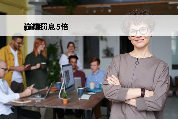 逾期罚息5倍
(逾期
