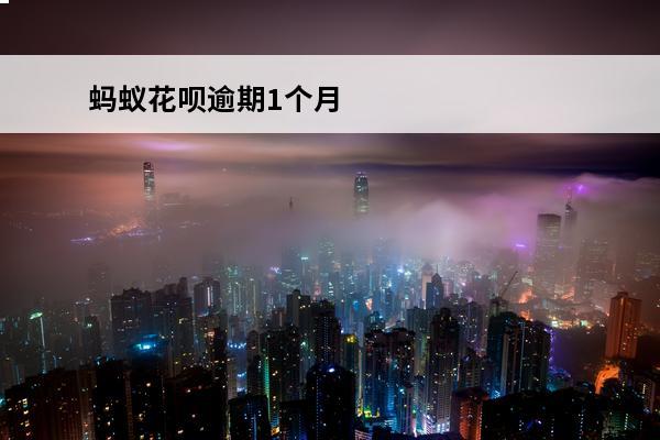 蚂蚁花呗逾期1个月
