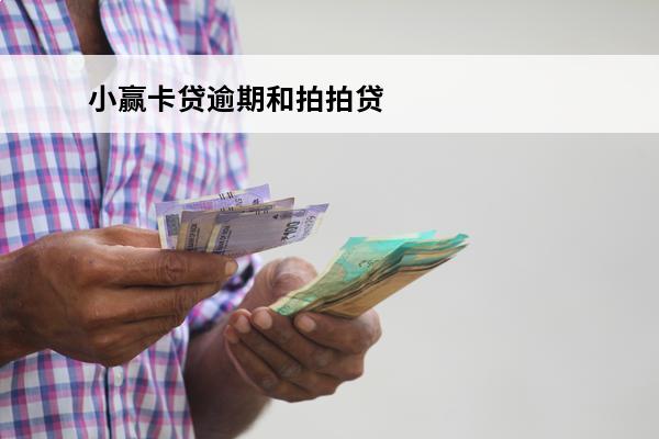 小赢卡贷逾期和拍拍贷
