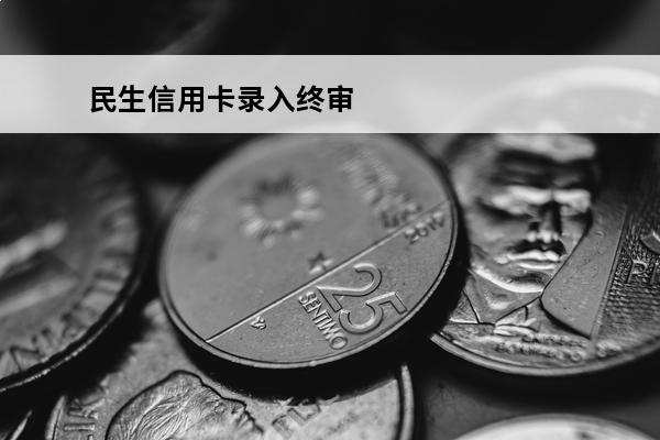 民生信用卡录入终审
