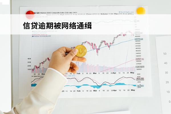 信贷逾期被网络通缉
