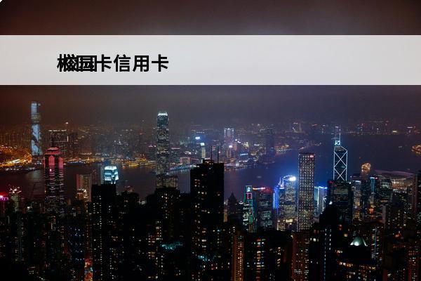 校园卡信用卡
 校园