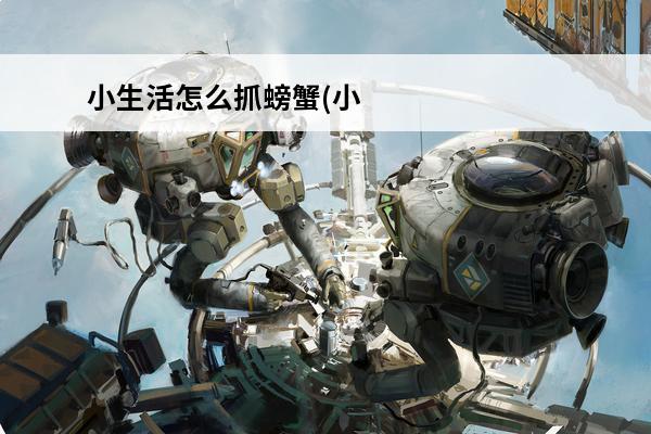 小生活怎么抓螃蟹(小