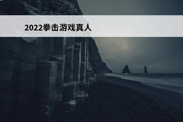 2022拳击游戏真人