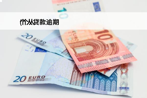个人贷款逾期
(个人