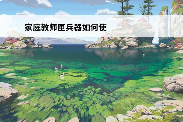 家庭教师匣兵器如何使