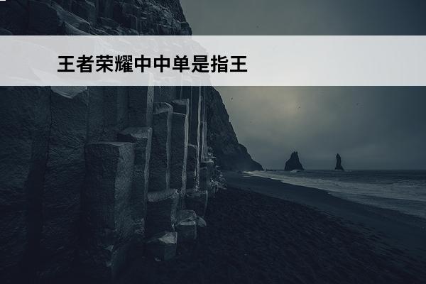 王者荣耀中中单是指王