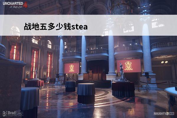 战地五多少钱stea