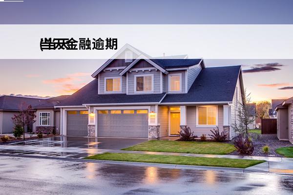 当天金融逾期
(当天