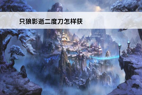 只狼影逝二度刀怎样获