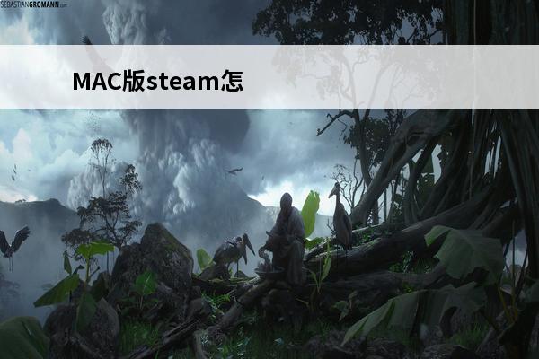 MAC版steam怎么设置中文？steamMAC版中文语言设置教程(mac版本steam怎么设置中文)