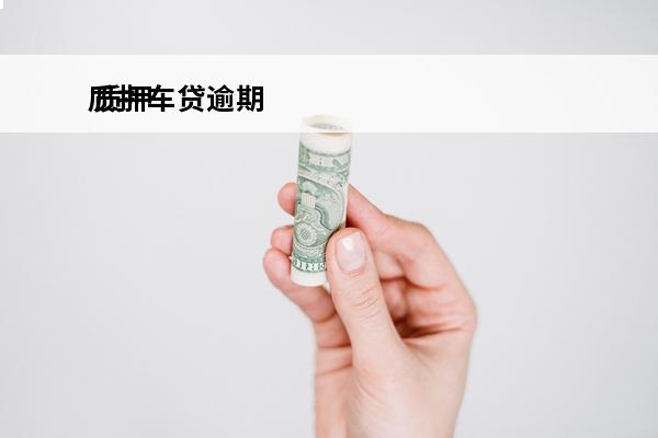 质押车贷逾期
 质押