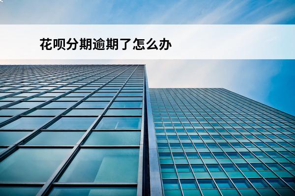 花呗分期逾期了怎么办
 花呗分期还款逾期怎么办