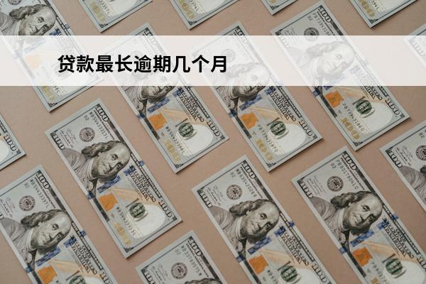 贷款最长逾期几个月
