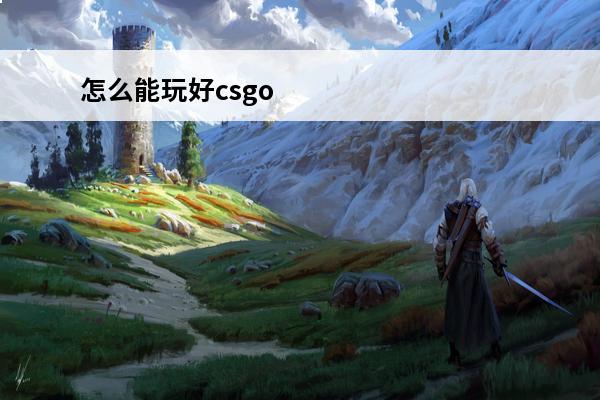 怎么能玩好csgo 