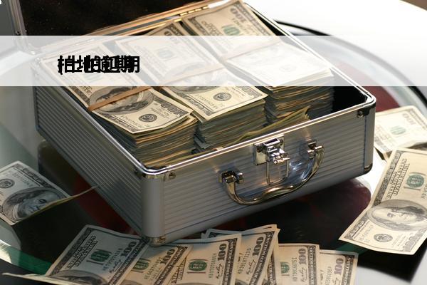 拍地逾期
(土拍延期