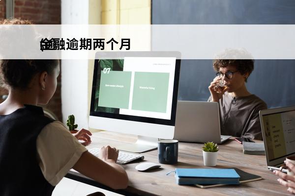 金融逾期两个月
(逾