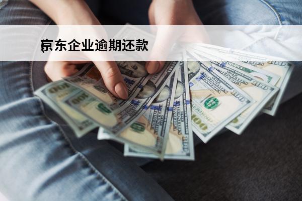 京东企业逾期还款
(