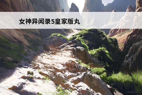 女神异闻录5皇家版丸