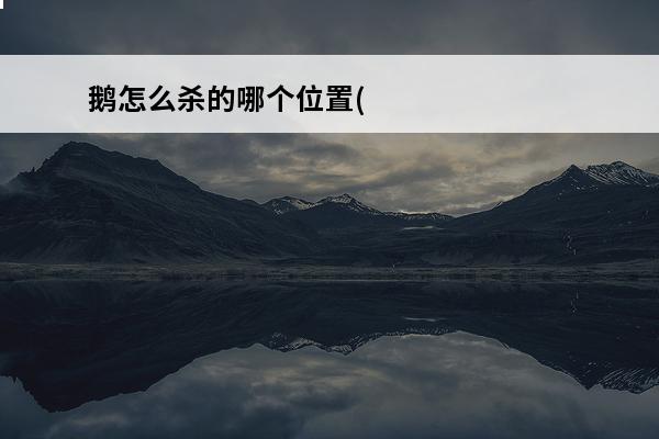 鹅怎么杀的哪个位置(鹅杀哪个位置)