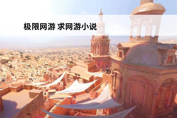极限网游 求网游小说